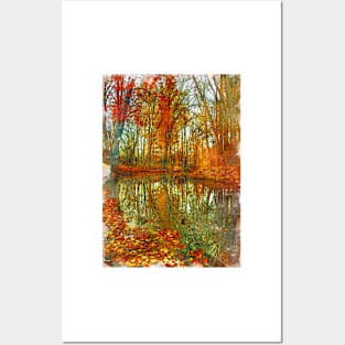 Autumn Foresty Drive Sycamore Posters and Art